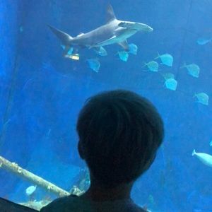 Meet your Posher, Sean